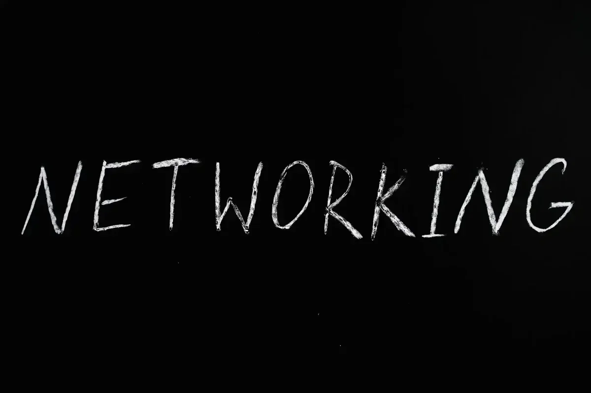 Contato: Link Building Estratégico — Laggu Digital